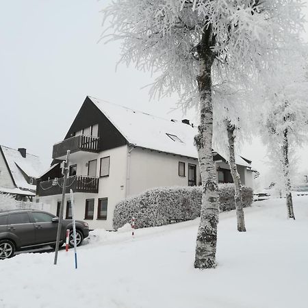 Haus Schneider Apartment Winterberg Ngoại thất bức ảnh