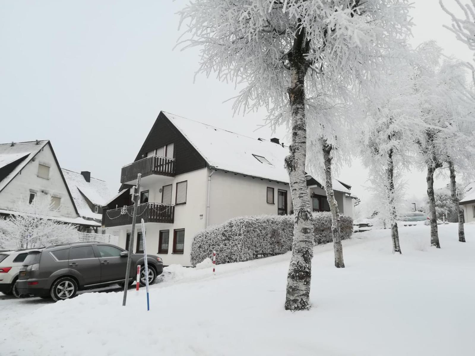 Haus Schneider Apartment Winterberg Ngoại thất bức ảnh